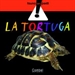 Front pageLa tortuga