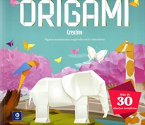 Books Frontpage Origami Creativo