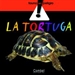 Front pageLa tortuga