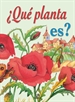 Front page¿Qué Planta Es?