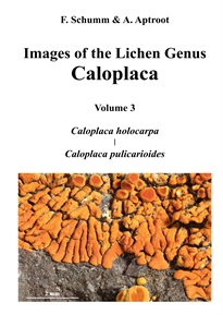 Books Frontpage Images of the Lichen Genus Caloplaca, Vol 3