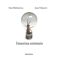 Books Frontpage Imaxina animais