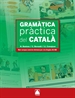 Front pageGramàtica pràctica del català - ed. 2011