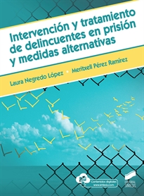 Books Frontpage Intervención y tratamiento de delincuentes en prisión y medidas alternativas