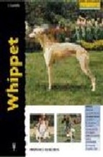 Books Frontpage Whippet