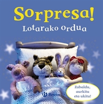 Books Frontpage Sorpresa! Lotarako ordua
