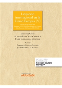 Books Frontpage Litigación Internacional en la Unión Europea V (Papel + e-book)