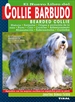 Front pageCollie barbudo