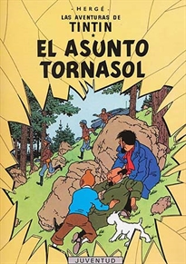 Books Frontpage El asunto Tornasol (rústica)