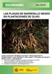 Front pageLas plagas de barrenillo negro en plantaciones de olivo