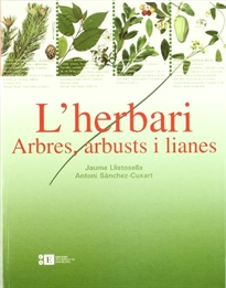 Books Frontpage L'herbari: arbres, arbusts i lianes