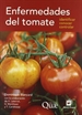 Front pageEnfermedades del tomate