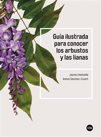 Books Frontpage Guía ilustrada para conocer los arbustos y las lianas