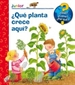 Front page¿Qué planta crece aquí?