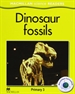 Front pageMSR 3 Dinosaur fossils