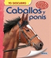 Front pageCaballos y ponis