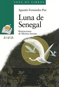 Books Frontpage Luna de Senegal