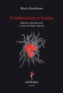 Books Frontpage Confesiones y Guías