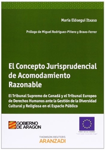 Books Frontpage Nueve Estudios para Informar un Proceso Penal Europeo y un Código Modela para Potenciar la Cooperación Jurisdiccional Iberoamérica.