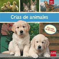 Books Frontpage Crías de animales