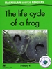 Front pageMSR 4 Life cycle of a frog