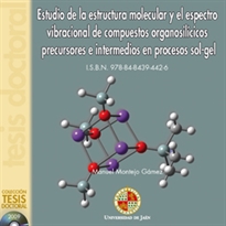 Books Frontpage Estudio de la Estructura Molecular y el Espectro Vibracional de Compuestos Organosilícicos Precursores e Intermedios en Procesos de SOL-GEL