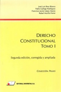 Books Frontpage Derecho Constitucional I. Grupos de Trabajo