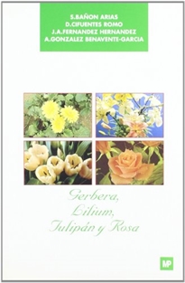 Books Frontpage Gerbera, lilium, tulipán y rosa