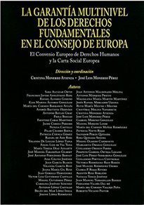 Books Frontpage La garantía multinivel de los Derechos Fundamentales en el Consejo de Europa