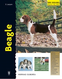 Books Frontpage Beagle