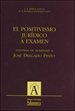 Front pageEl positivismo jurídico a examen. Estudios  en homenaje a José Delgado Pinto