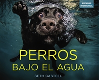 Books Frontpage Perros bajo el agua