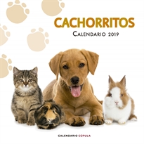 Books Frontpage Calendario Cachorritos 2019