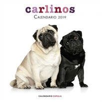 Books Frontpage Calendario Carlinos 2019
