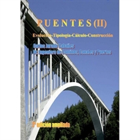 Books Frontpage Puentes (II)