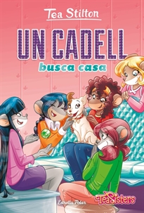 Books Frontpage Un cadell busca casa