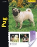 Front pagePug