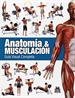 Portada del libro Anatomía & Musculación. Guía visual completa (Color)