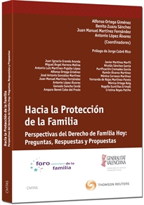 Books Frontpage Hacia la protección de la familia - Perspectivas del Derecho de familia hoy: preguntas, respuestas y propuestas