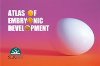 Books Frontpage Atlas of embryonic development