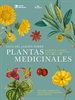 Front pageGuía del jardín sobre plantas medicinales