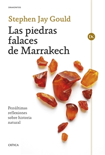 Books Frontpage Las piedras falaces de Marrakech