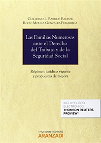 Books Frontpage Las familias numerosas ante el Derecho del Trabajo y de la Seguridad Social (Papel + e-book)