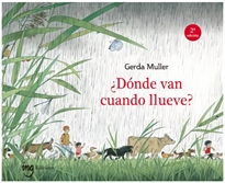 Books Frontpage ¿Dónde van cuando llueve?