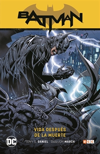 Books Frontpage Batman vol. 10: Vida después de la muerte (Batman Saga - Renacido parte 4)
