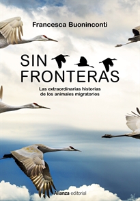 Books Frontpage Sin fronteras