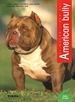 Front pageAmerican bully