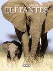 Books Frontpage Elefantes