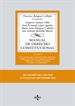 Front pageManual de Derecho Constitucional