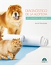Front pageDiagnóstico de la alopecia en perros y gatos